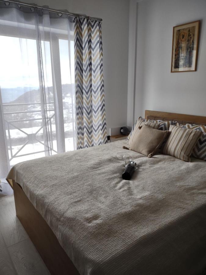 Milmari Kop N10 Apartment Kopaonik Bagian luar foto