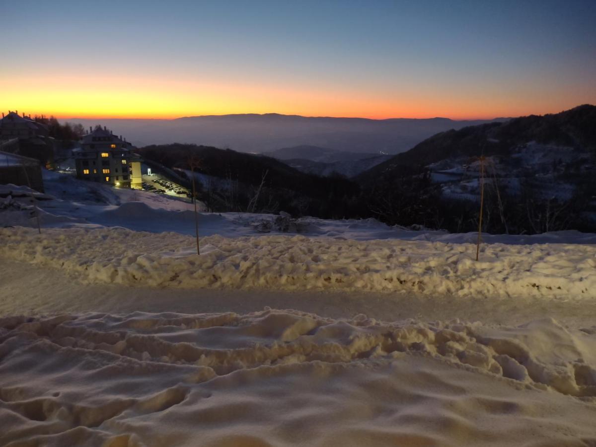 Milmari Kop N10 Apartment Kopaonik Bagian luar foto